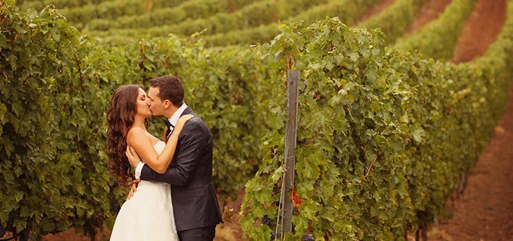 Newlyweds kiss in front of vinyard